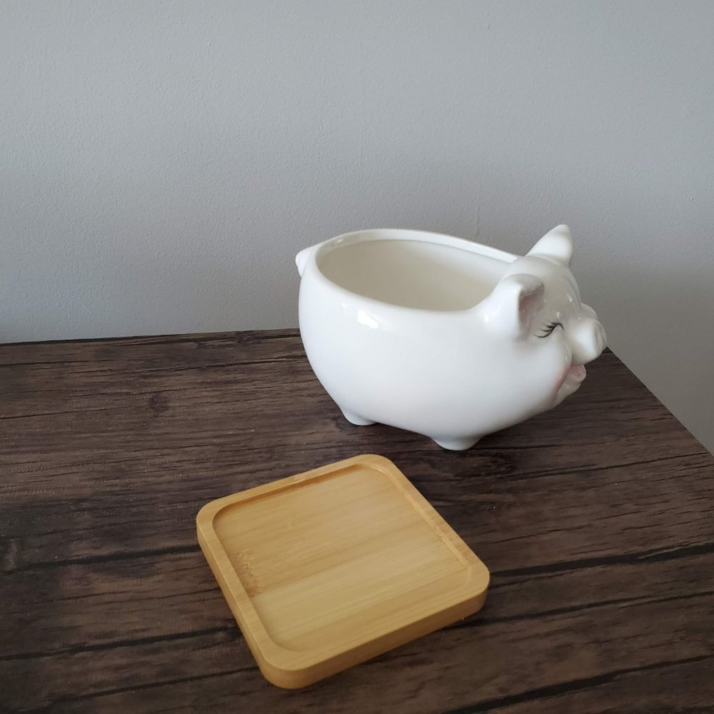 Pig Planter, White Pig Plant Pot, Ceramic Animal Planter, Succulent Planter, 6" - Picture 3 of 8